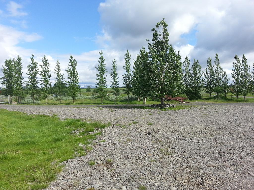 Skalinn Between Gullfoss And Geysir - Myrkholt Farm Haukadalur Exterior photo