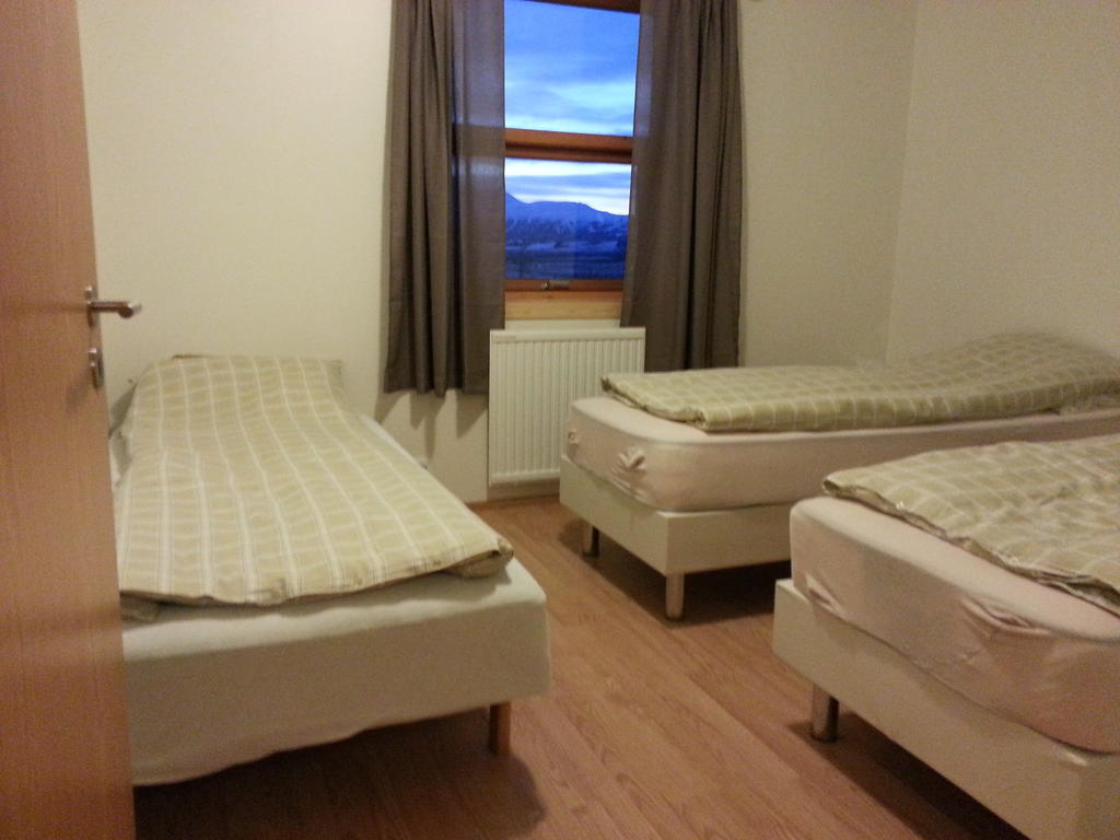 Skalinn Between Gullfoss And Geysir - Myrkholt Farm Haukadalur Room photo