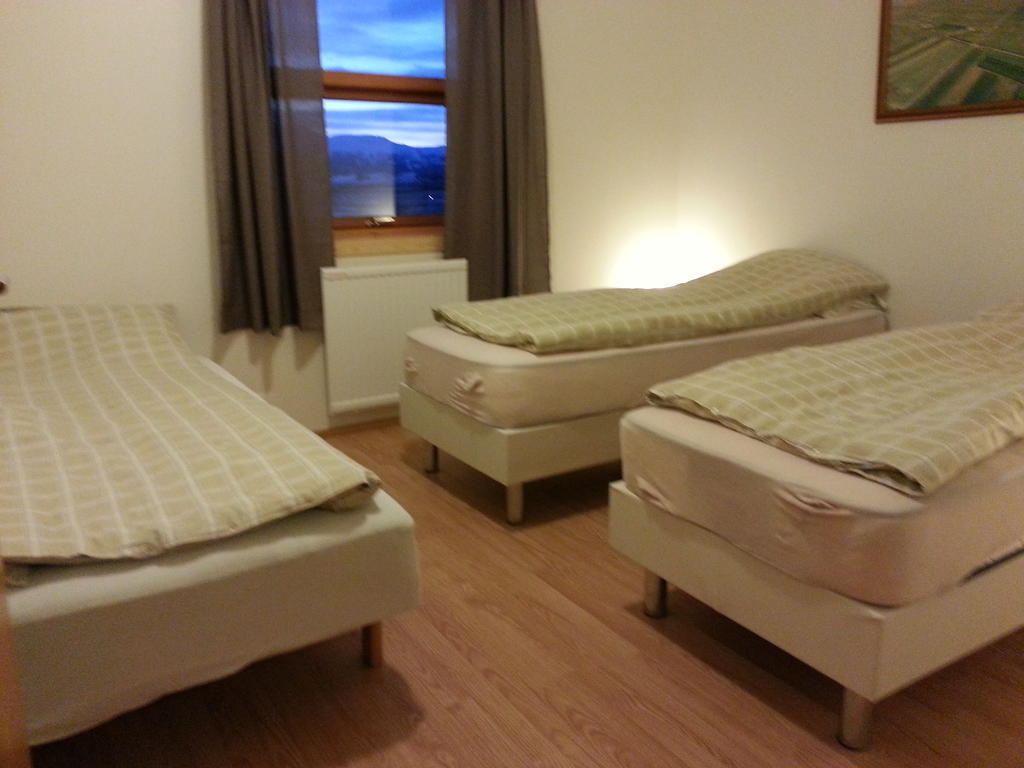 Skalinn Between Gullfoss And Geysir - Myrkholt Farm Haukadalur Room photo